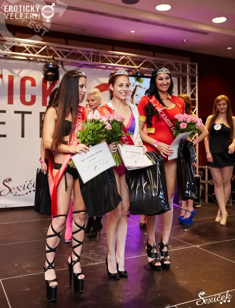 Erotic Fair 2015 — photograph 299 of 316