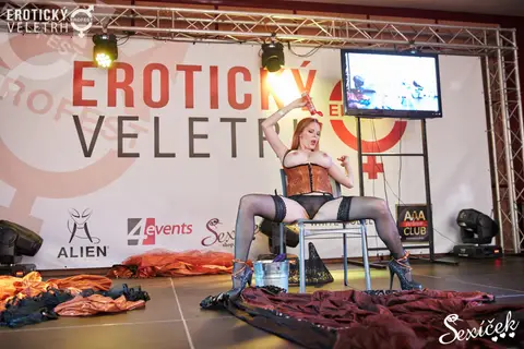 Erotic Fair 2015 — photograph 223 of 316