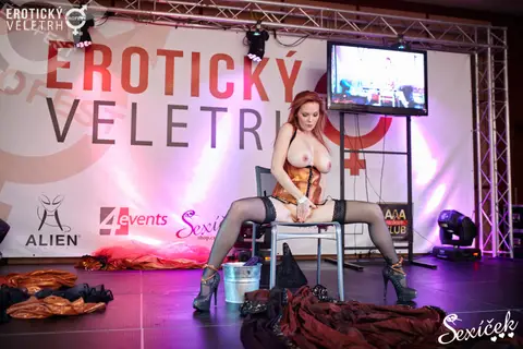 Erotic Fair 2015 — photograph 225 of 316