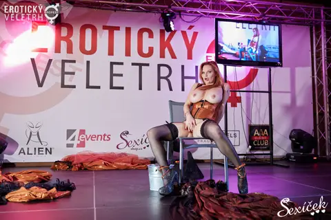 Erotic Fair 2015 — photograph 226 of 316