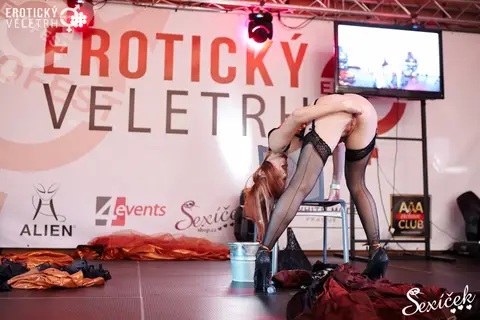 Erotic Fair 2015 — photograph 227 of 316