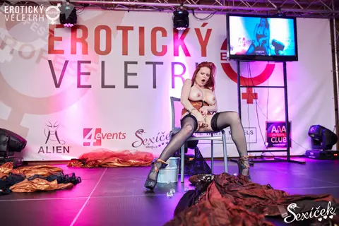 Erotic Fair 2015 — photograph 230 of 316