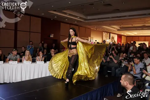 Erotic Fair 2015 — photograph 256 of 316