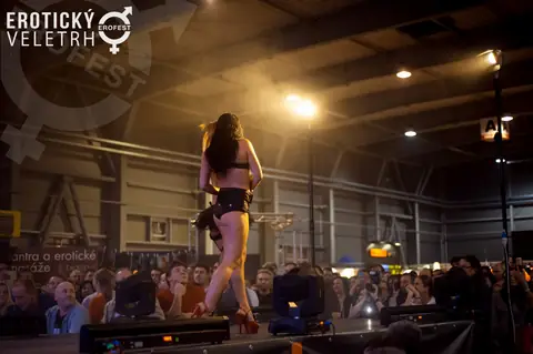 A dancer on stage above a packed hall, 2016 edition