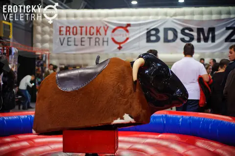 Erotic Fair 2016 — photograph 51 of 92