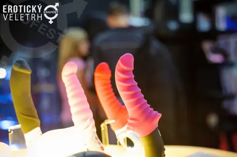 Erotic Fair 2016 — photograph 56 of 92