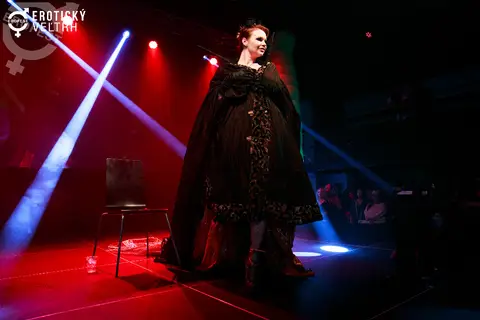 Erotic Fair Bratislava 2017 — photograph 94 of 160