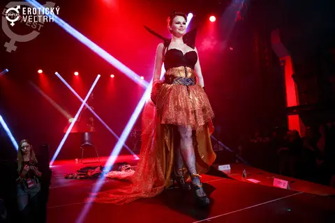 Erotic Fair Bratislava 2017 — photograph 96 of 160