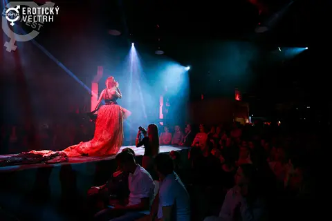 Erotic Fair Bratislava 2017 — photograph 97 of 160