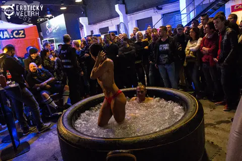 Erotic Fair Bratislava 2017 — photograph 9 of 160