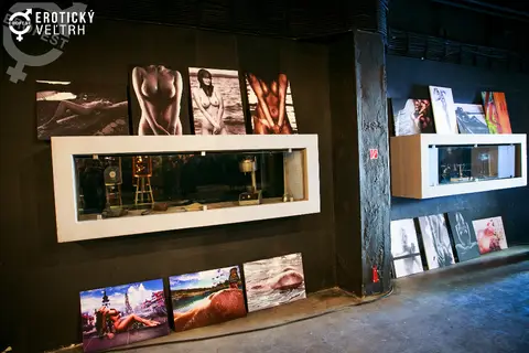 Erotic Fair Bratislava 2017 — photograph 39 of 160