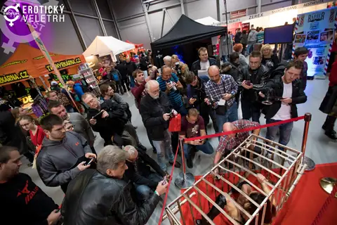 Erotic Fair 2017 — photograph 20 of 171