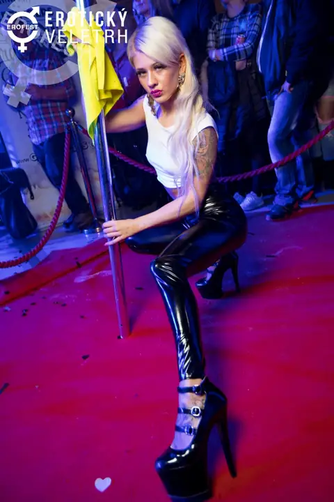 Erotic Fair 2017 — photograph 72 of 171