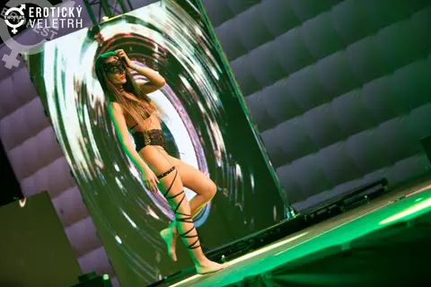 Erotic Fair 2017 — photograph 42 of 171