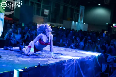 Erotic Fair 2017 — photograph 55 of 171