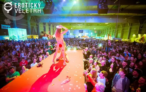 The catwalk above a crowd of visitors, 2018 edition