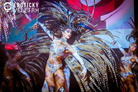 Erotic Fair 2018 — photograph 27 of 53