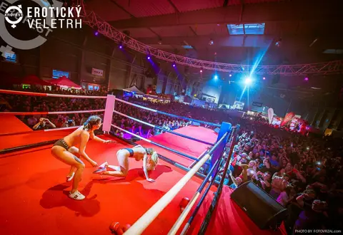 Erotic Fair 2019 — photograph 279 of 500