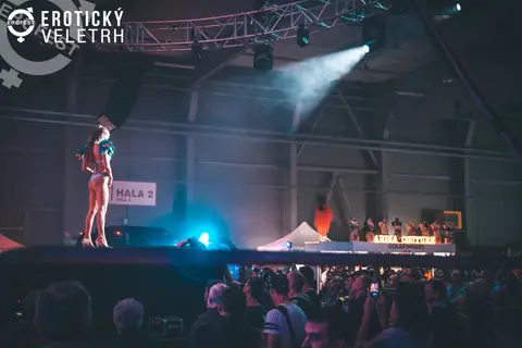 Erotic Fair 2019 — photograph 492 of 500