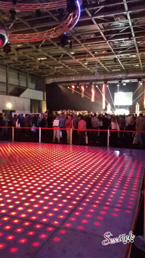 What is an erotic fair in Germany like? — photograph 9 of 32