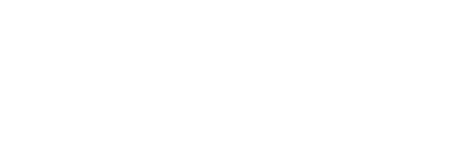 SVAKOM — main partner of the fair